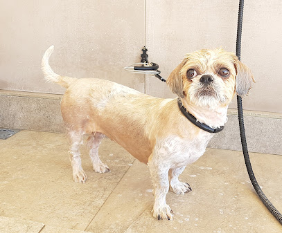 Casa Aroco | Guardería para perros en Estacion