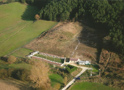 Casa de Cora - Nagusi | Guardería para perros en Aguinaga de Iza