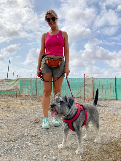 Smart Dog Academy | Adiestradores de perros en San Fulgencio