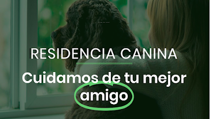 Como en casa | Guardería para perros en Madrid