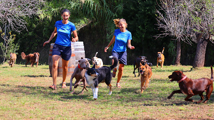 VinyaCan | Guardería para perros en Barcelona