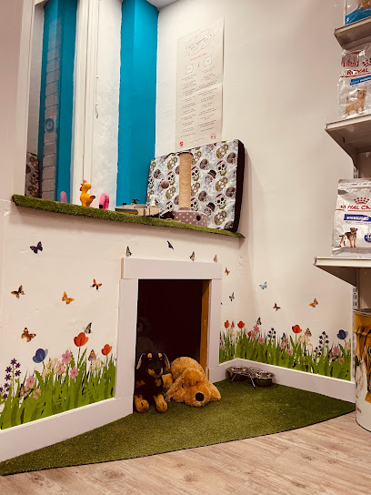 Perro Azul | Peluqueria para perros en Valencia