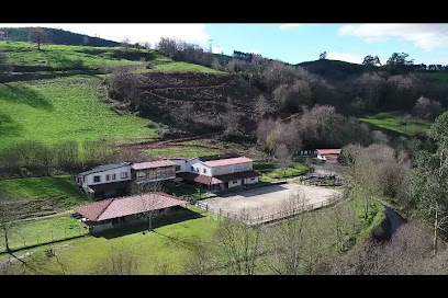 Ars Animalis | Guardería para perros en Castaneda