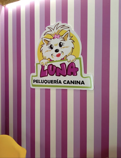 Luna | Peluqueria para perros en Valdepeñas