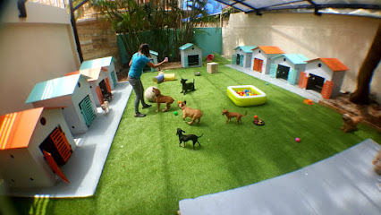 Pet Mansion | Guardería para perros en Santo Domingo
