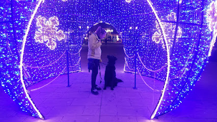 PerroeducadoPerrofeliz | Adiestradores de perros en Granada