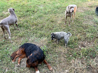 Mas la Badosa | Guardería para perros en Castellar de la Muntanya