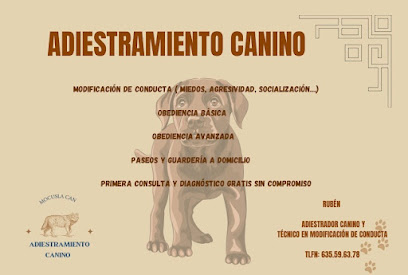 Mocusla | Adiestradores de perros en Guadalajara