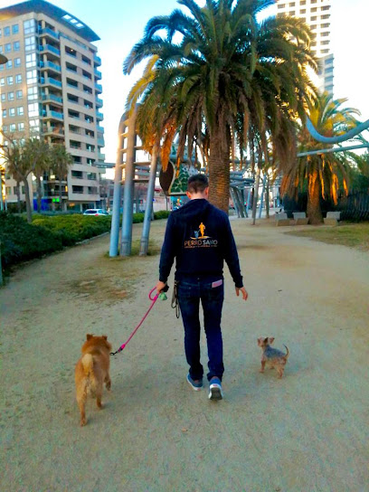 Perro Sano | Adiestradores de perros en Barcelona