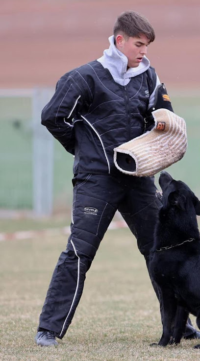 Punonrostro | Adiestradores de perros en Moraleja de Enmedio