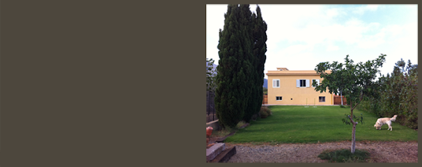 Golden House | Guardería para perros en La Hidalga