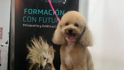 Nati Blanco Estilismo Canino | Peluqueria para perros en Algeciras