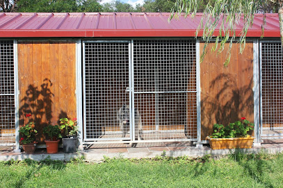 Rockendall | Guardería para perros en San Andreu Salou