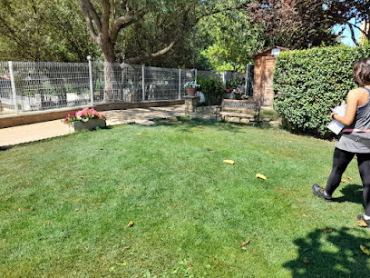 La Masia | Guardería para perros en Can Massuet del Far