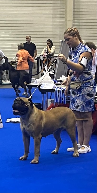 Solcan | Adiestradores de perros en Almeria