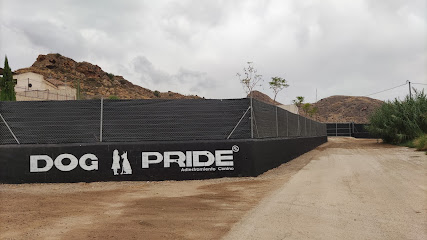 Dog Pride | Adiestradores de perros en Murcia