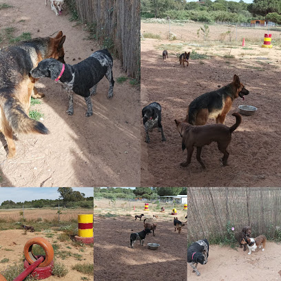 Canino Marchena | Guardería para perros en Villablanca