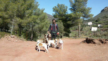Ecanval | Adiestradores de perros en Valencia