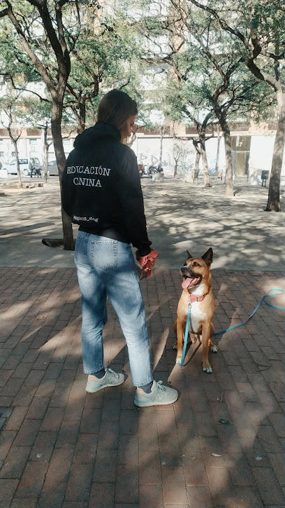 Sapiens Dog | Sant Marti | Adiestradores de perros en Barcelona