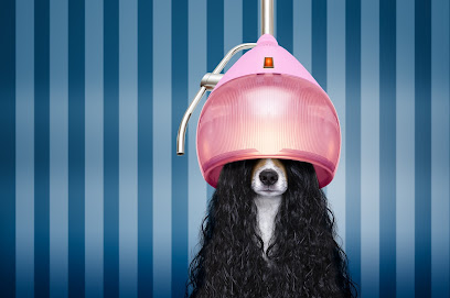 Huellas | Peluqueria para perros en Villena