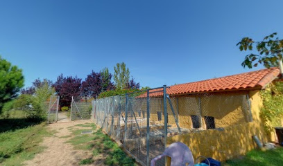 Mascotel (Be More Dog) | Guardería para perros en Calvarrasa de Abajo