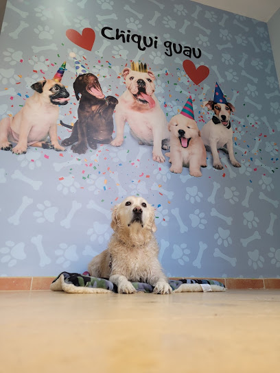 I Love Dog Wash | Castellon | Peluqueria para perros en Castellón de la Plana