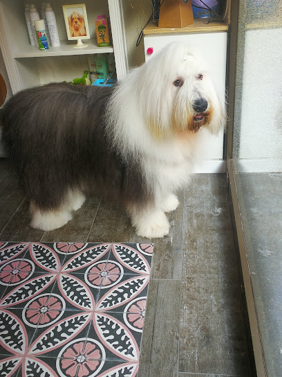 El Ca Rosa | Peluqueria para perros en Mataró