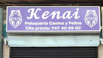 Kenai | Peluqueria para perros en Madrid