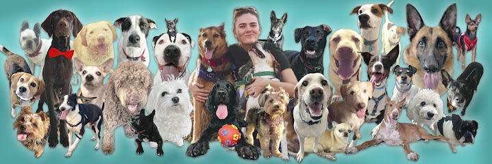 De Los Reyes Dog Hotel | Guardería para perros en Puerto de la Torre