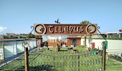 Tilenus | Guardería para perros en Nistal