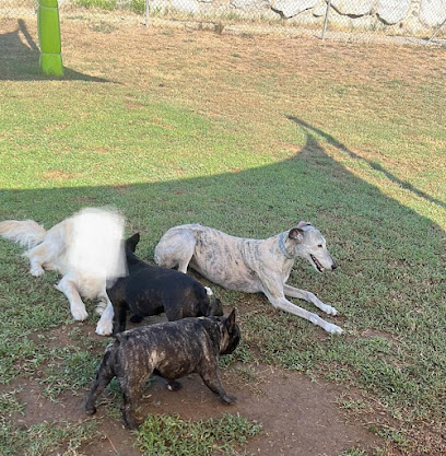 Baix Montseny | Guardería para perros en Cardedeu