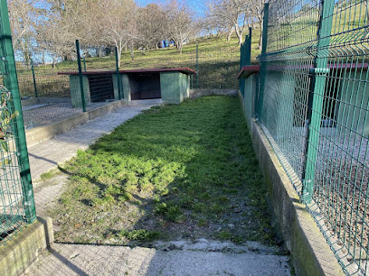 Bahia de Txingudi | Guardería para perros en Irun