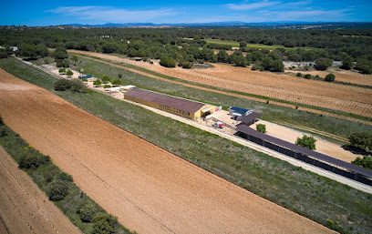 La Perruqueria | Guardería para perros en Aranda de Duero