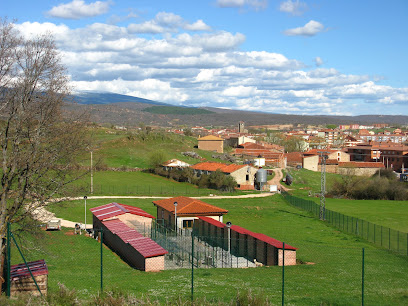 Reservoir Dogs Mycosport | Guardería para perros en Salas de los Infantes