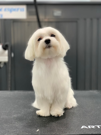 Paraiso de l Can | Peluqueria para perros en La Coruña