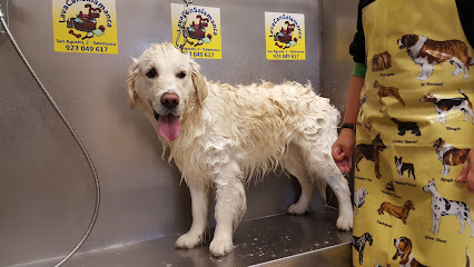 Lavacan Salamanca | Peluqueria para perros en Salamanca