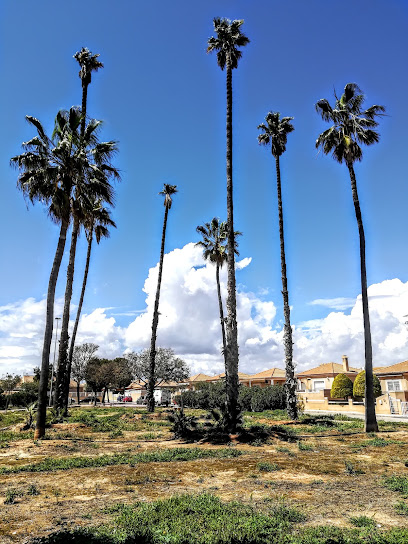 La Almazara | Guardería para perros en Santa Ana Pueblo