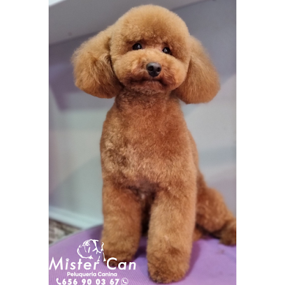 Sevilla Este | Peluqueria para perros en Sevilla