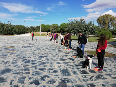 ICAN SEVILLA | Adiestradores de perros en Tomares