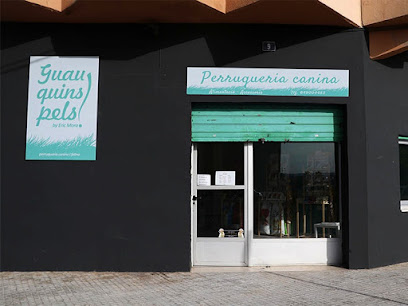 Guau Quins Pels | Alberique