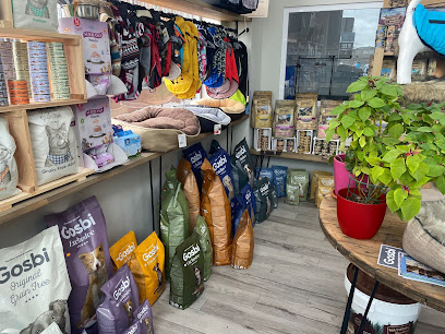 Iris | Peluqueria para perros en Madrid