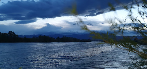 GUARDERIA DE MASCOTAS KIMI | Guardería para perros en Tortosa