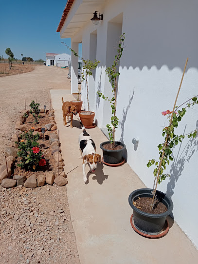 El Jardin de Quercus | Guardería para perros en Gevora