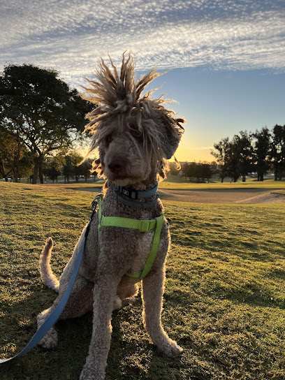 Guau La Pelu | Peluqueria para perros en Málaga