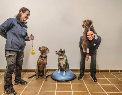 Canevolution | Adiestradores de perros en Calicanto
