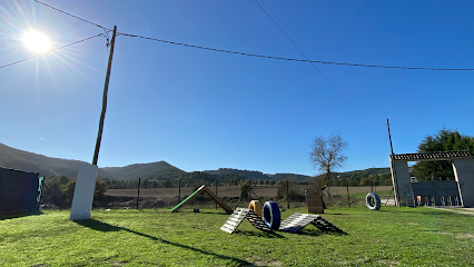 BadaDogTraining | Adiestradores de perros en Santa Margarida de Montbui