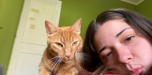 Rincon de Mascotas | Guardería para perros en Teo