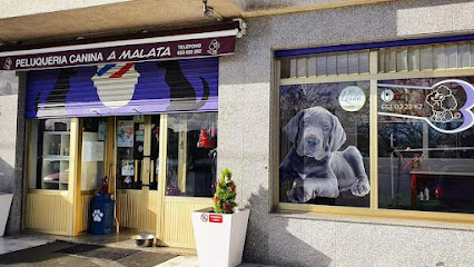 A Malata | Peluqueria para perros en El Ferrol