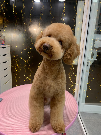 Can Can | Peluqueria para perros en Sant Feliu de Llobregat