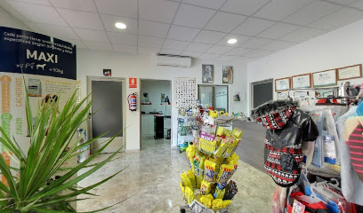Sanvican | Peluqueria para perros en San Vicente del Raspeig